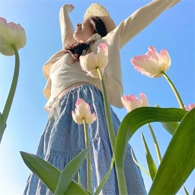 沙漠活宝