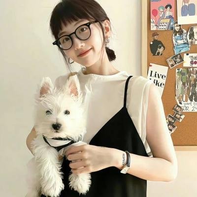 加油七条友